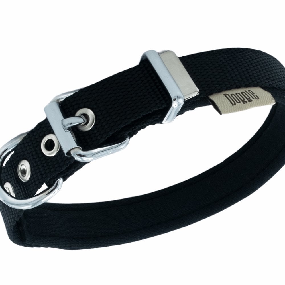 DSBT2062SBLACK-picture2Path