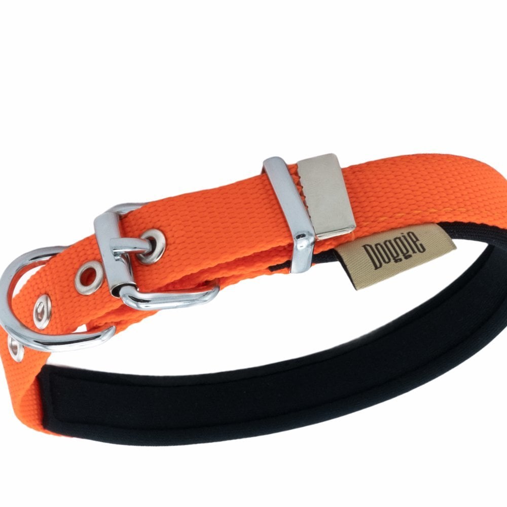 DSBT2062SORANGE-picture2Path