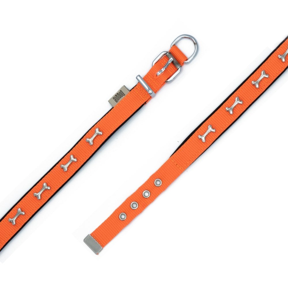 DSBT2062SORANGE-picture4Path
