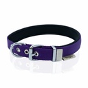 DSBT2062MPURPLE-picture3Path