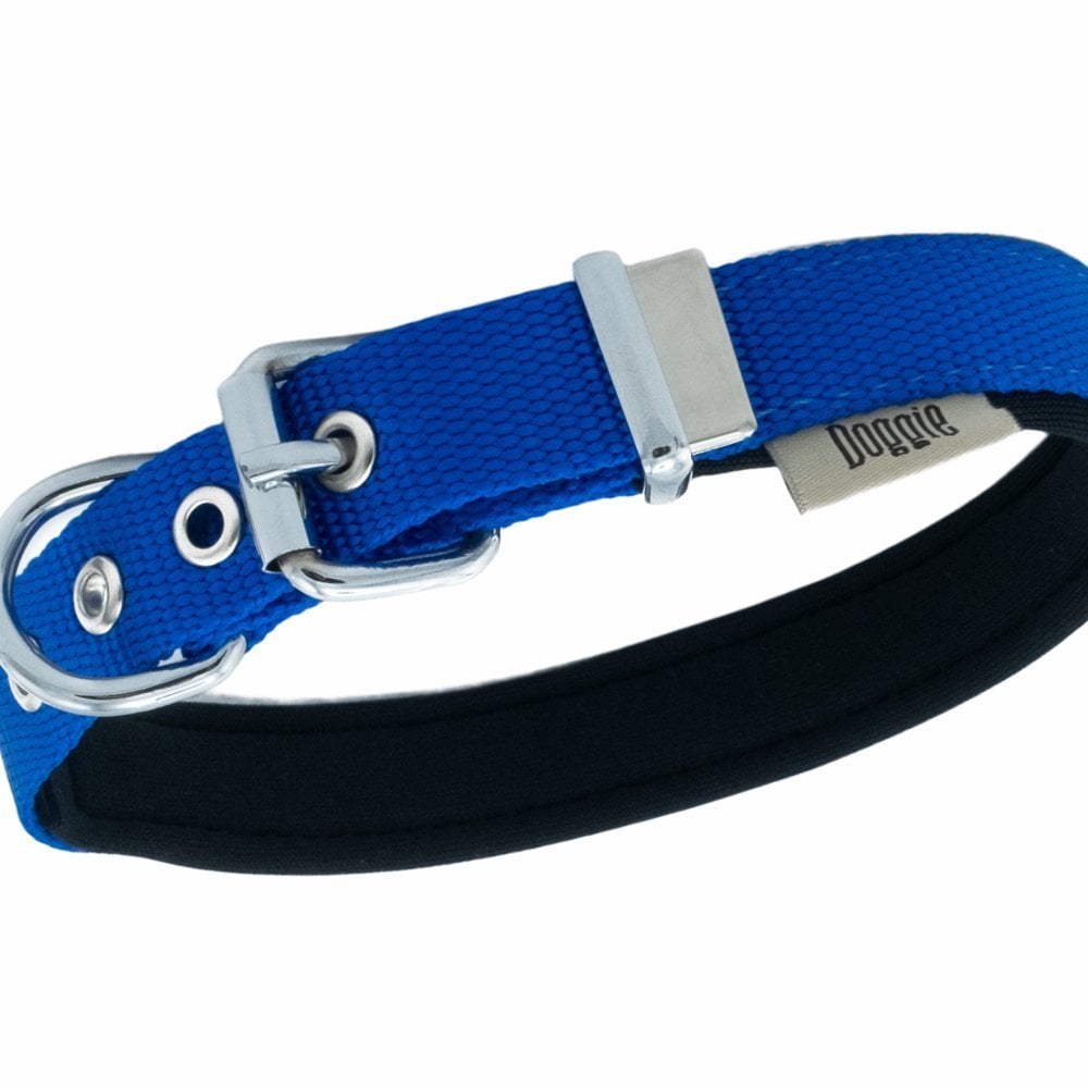 DSBT2062MROYALBLUE-picture2Path