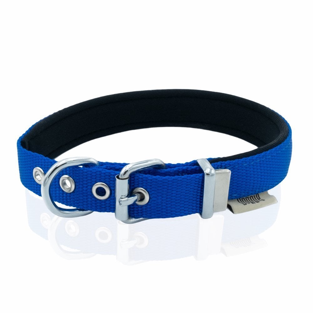 DSBT2062MROYALBLUE-picture3Path