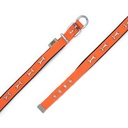 DSBT2062MORANGE-picture4Path