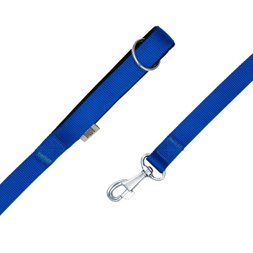 DGZT20MROYALBLUE-picture2Path