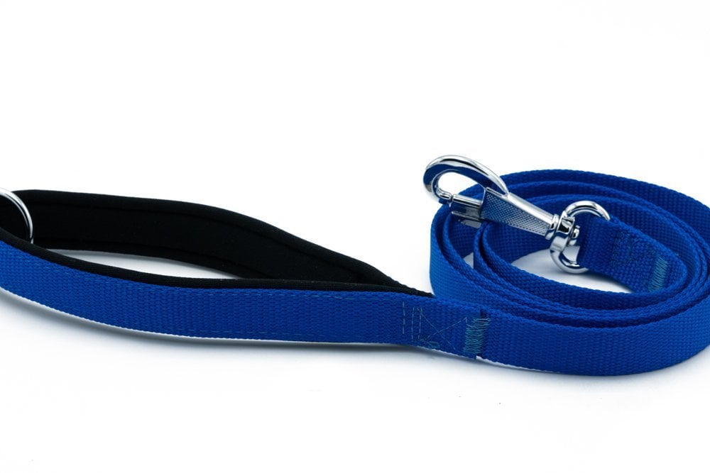 DGZT20MROYALBLUE-picture3Path