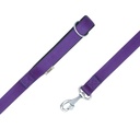 DGZT25MPURPLE-picture2Path