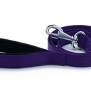 DGZT25MPURPLE-picture3Path