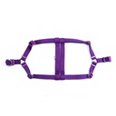 DSGT3XLPURPLE-picture2Path