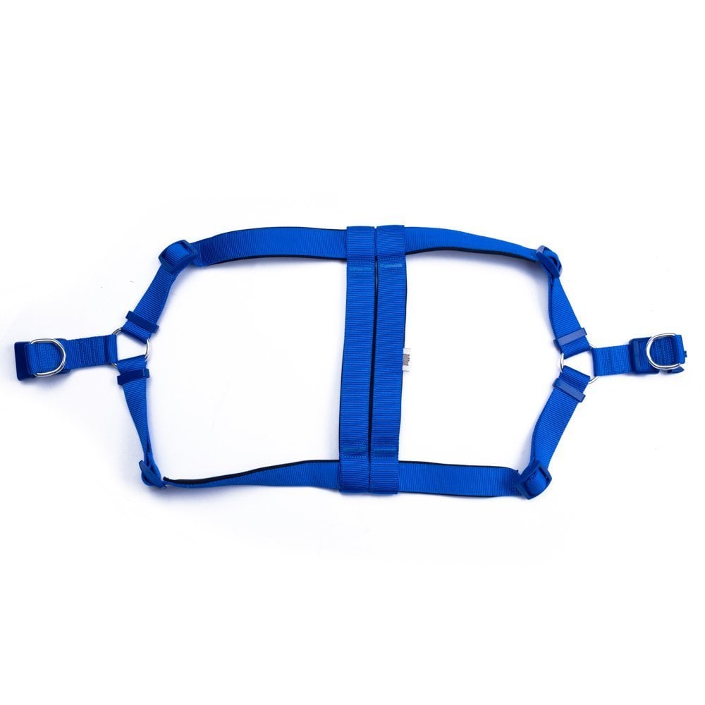 DSGT3XLROYALBLUE-picture2Path