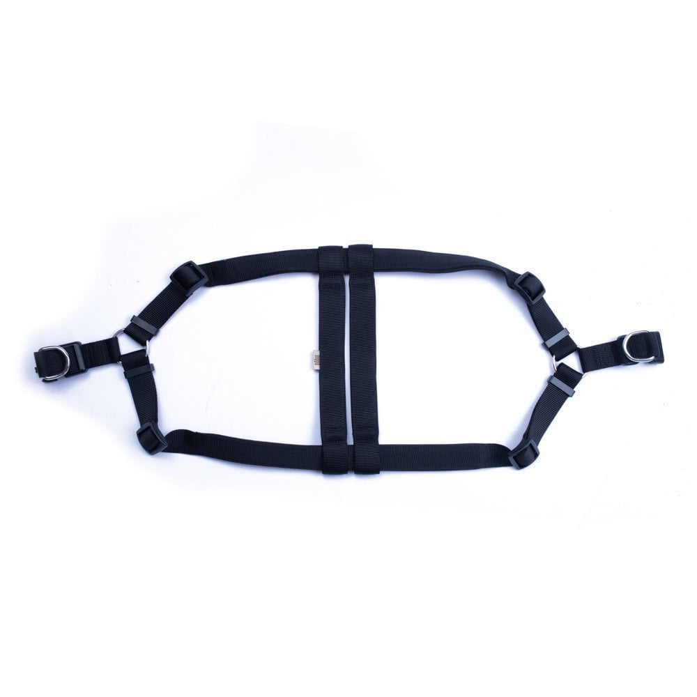 DSGT3XLBLACK-picture2Path