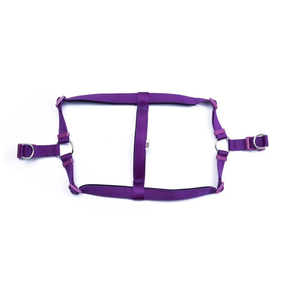 DSGTXLPURPLE-picture2Path