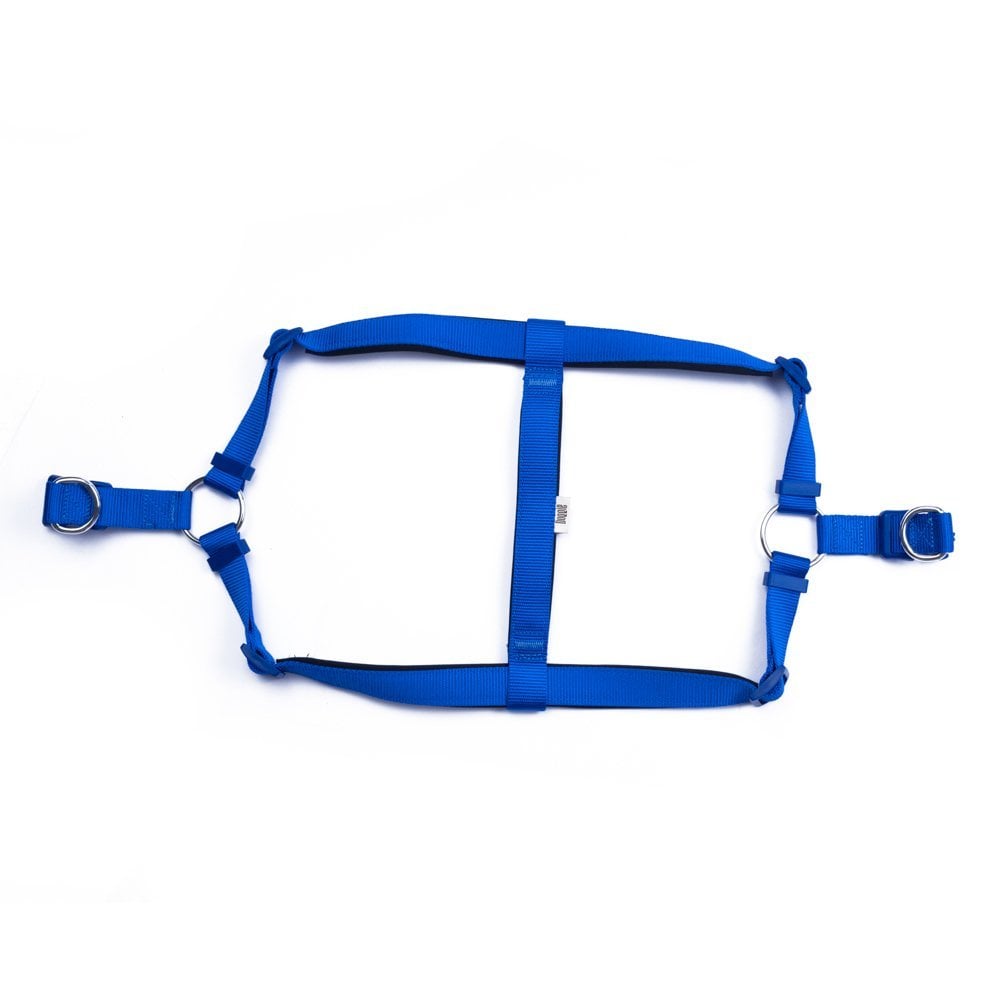 DSGTXLROYALBLUE-picture2Path