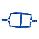 DSGTXLROYALBLUE-picture2Path