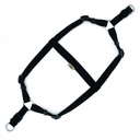 DSGTLBLACK-picture2Path