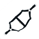 DSGTMBLACK-picture2Path