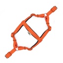 DSGTMORANGE-picture2Path