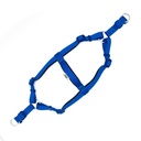 DSGTMROYALBLUE-picture2Path