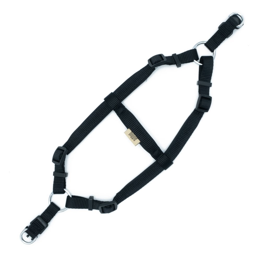 DSGTSBLACK-picture2Path