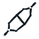 DSGTSBLACK-picture2Path