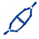 DSGTSROYALBLUE-picture2Path