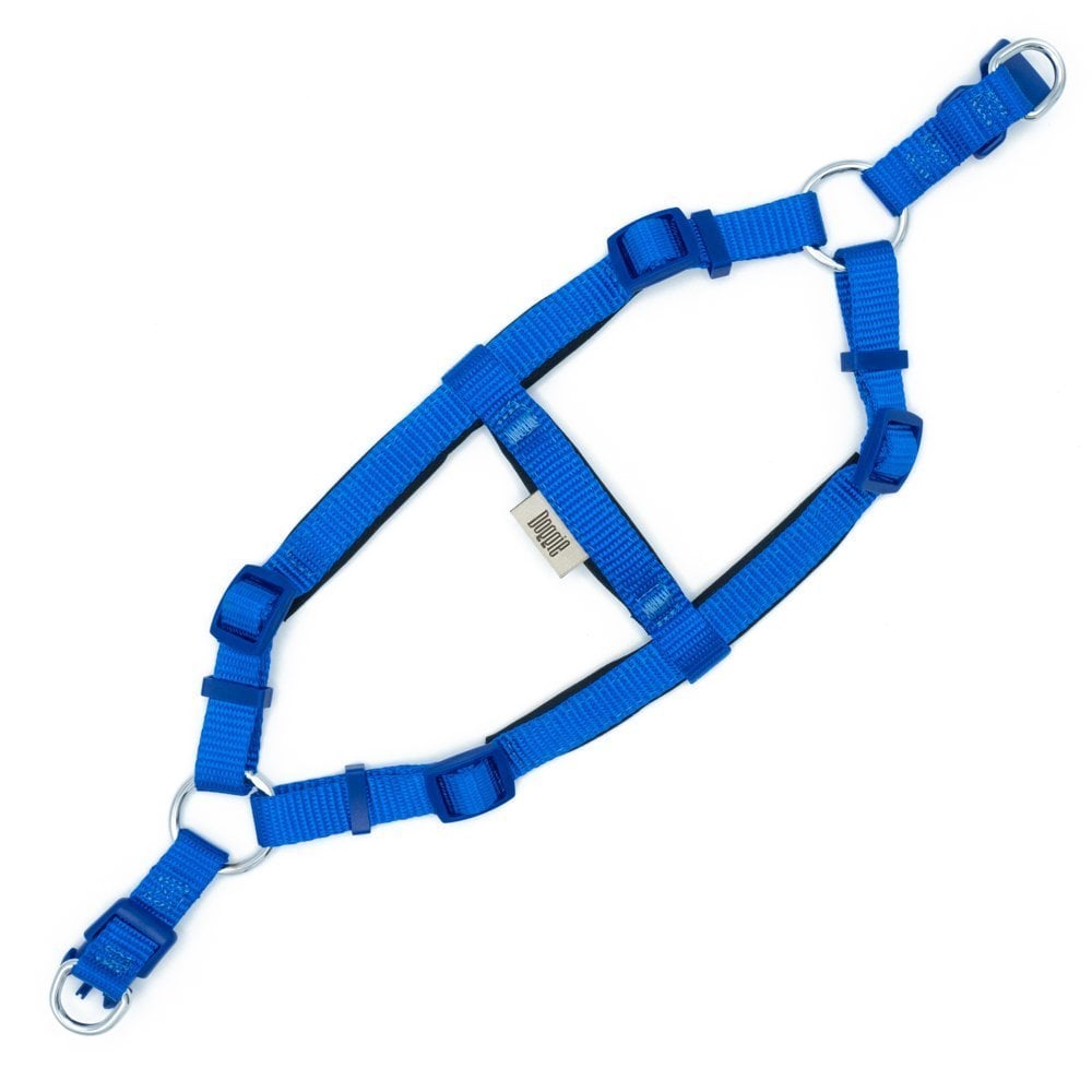 DSGTXSROYALBLUE-picture2Path
