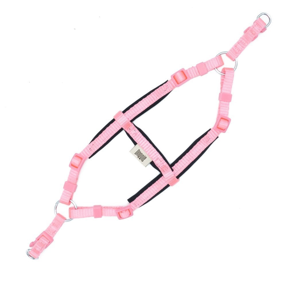 DSGTXXSPINK-picture2Path