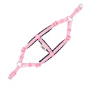 DSGTXXSPINK-picture2Path