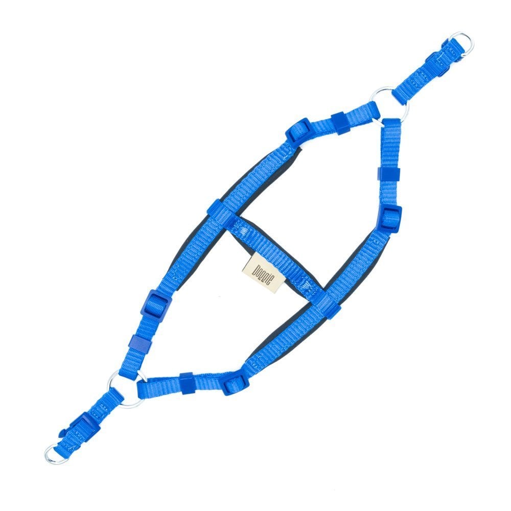 DSGTXXSROYALBLUE-picture2Path
