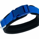 ADBT2010MROYALBLUE-picture3Path