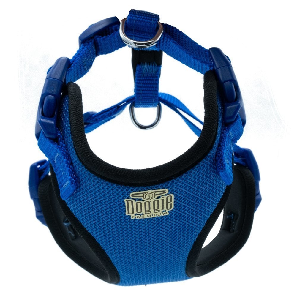 ADGTSROYALBLUE-picture2Path
