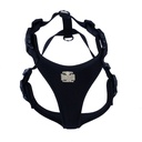 ADGTLBLACK-picture2Path