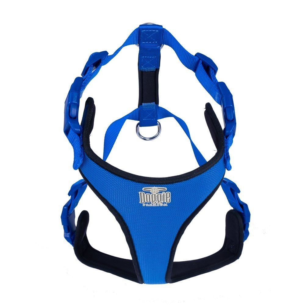ADGTXLROYALBLUE-picture2Path