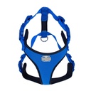 ADGTXLROYALBLUE-picture2Path
