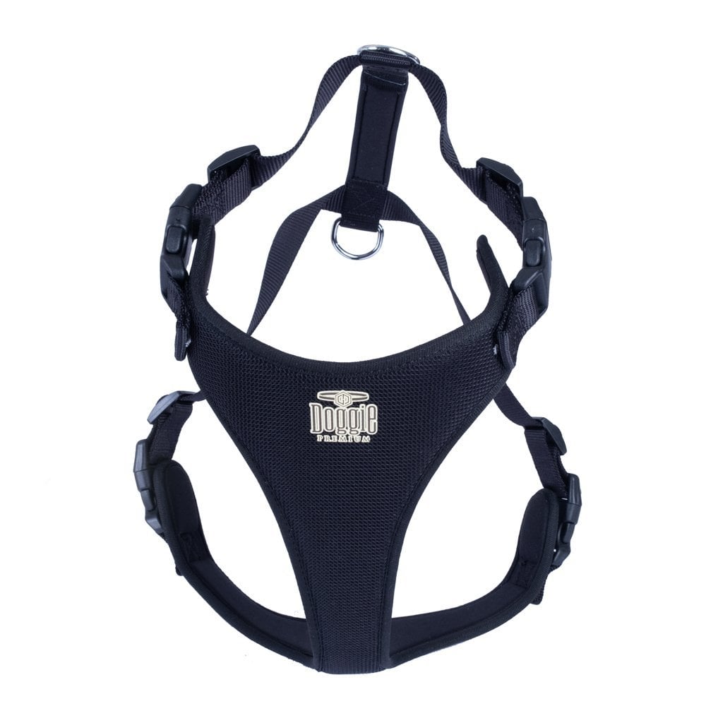 ADGTXLBLACK-picture2Path