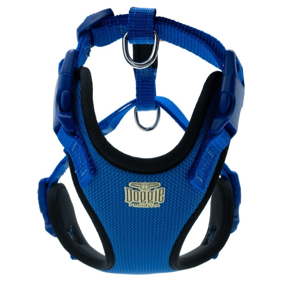ADGTXSROYALBLUE-picture2Path