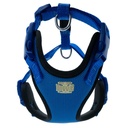 ADGTXSROYALBLUE-picture2Path