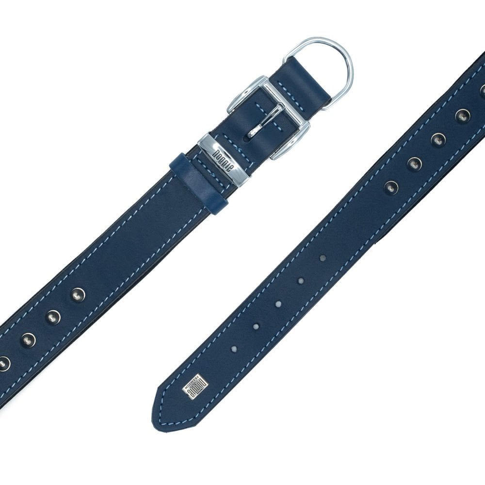 SBT3512MROYALBLUE-picture4Path