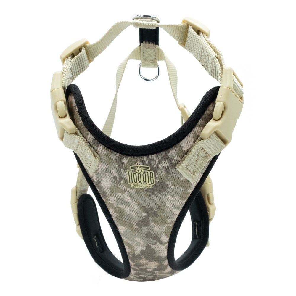 ADGTMCAMO-picture2Path