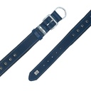 SBT3512LROYALBLUE-picture4Path
