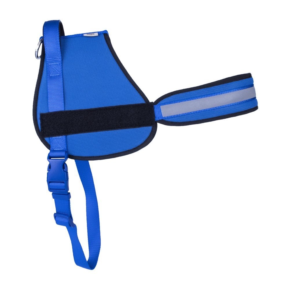 AJNGXLROYALBLUE-picture2Path