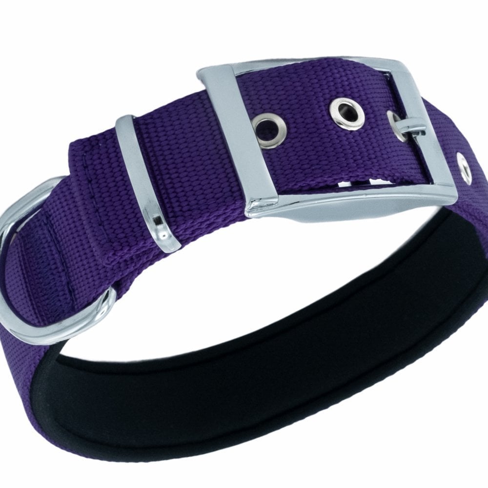 DDBT3010LPURPLE-picture2Path