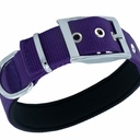 DDBT3010LPURPLE-picture2Path