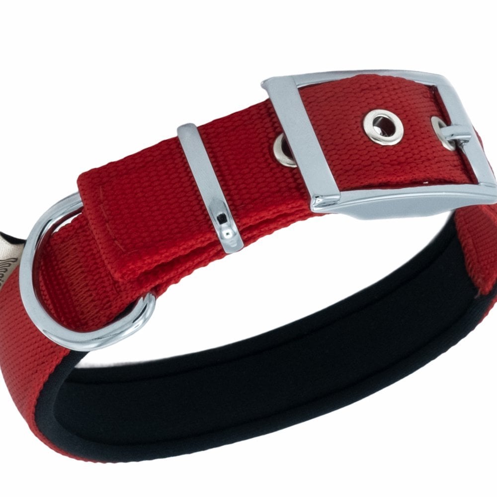 DDBT2510LRED-picture2Path