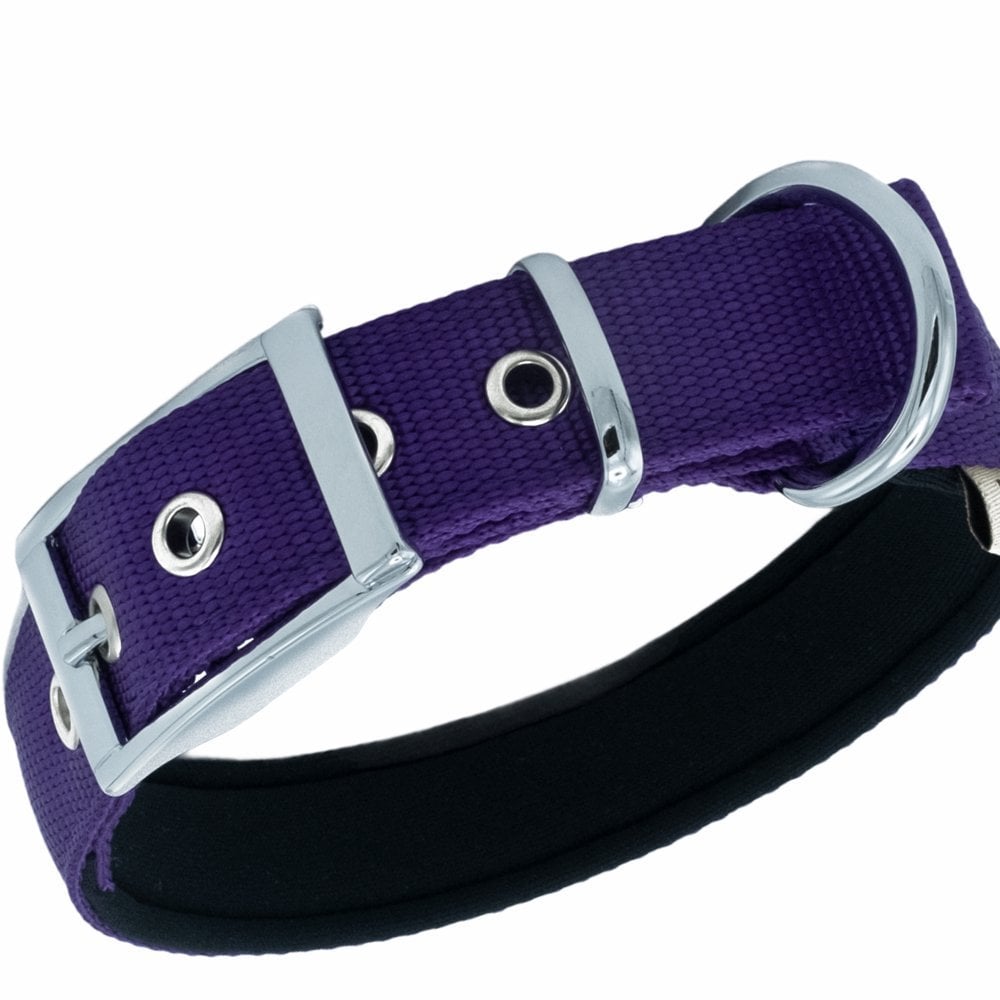 DDBT2510LPURPLE-picture2Path