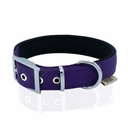 DDBT2510LPURPLE-picture3Path