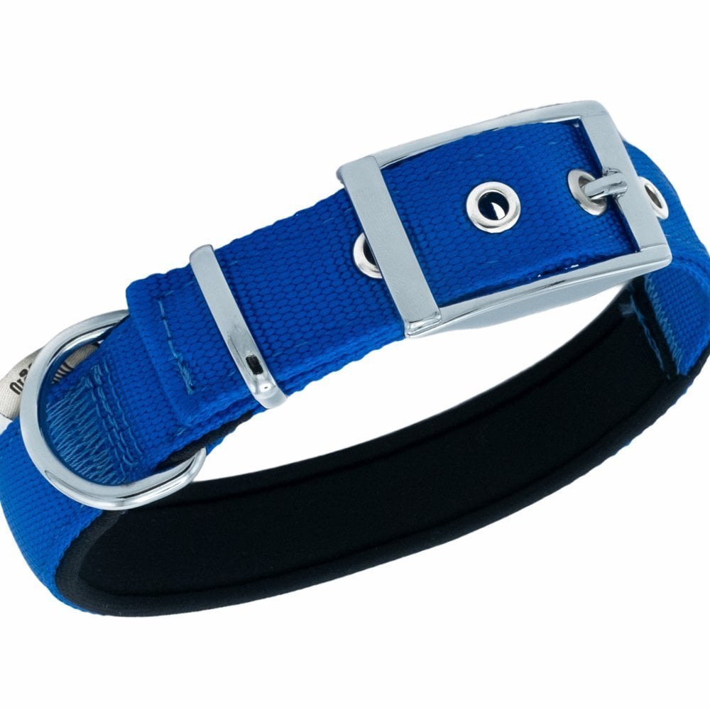 DDBT2510LROYALBLUE-picture2Path