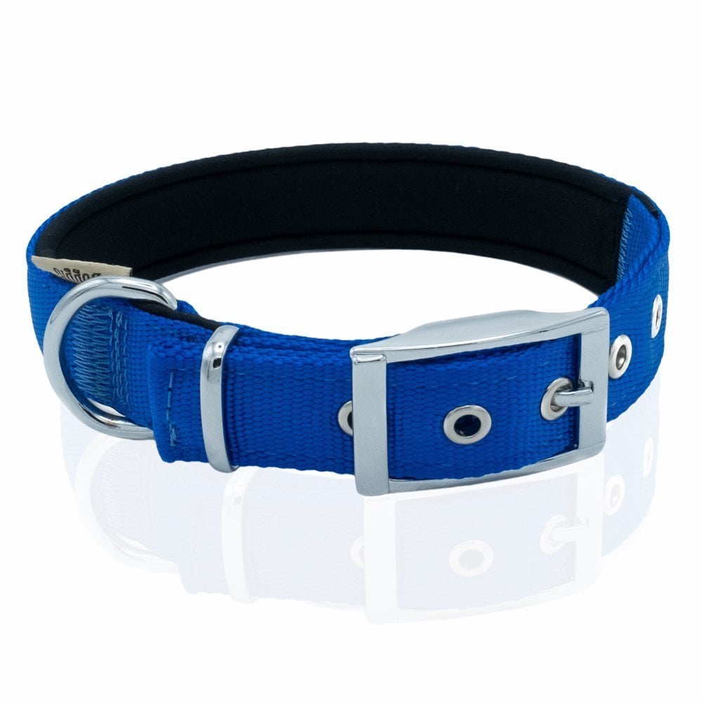 DDBT2510LROYALBLUE-picture3Path