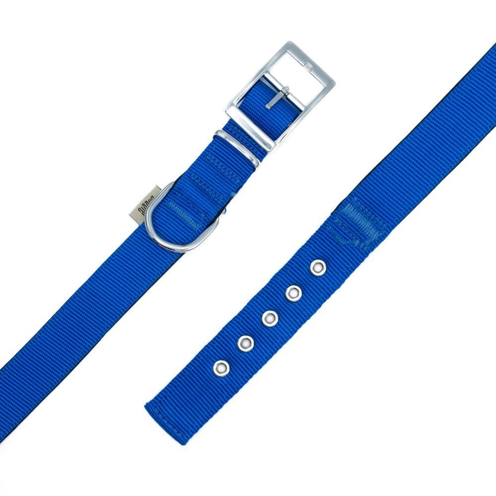 DDBT2510LROYALBLUE-picture4Path