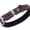 SBT1510MBROWN-picture2Path