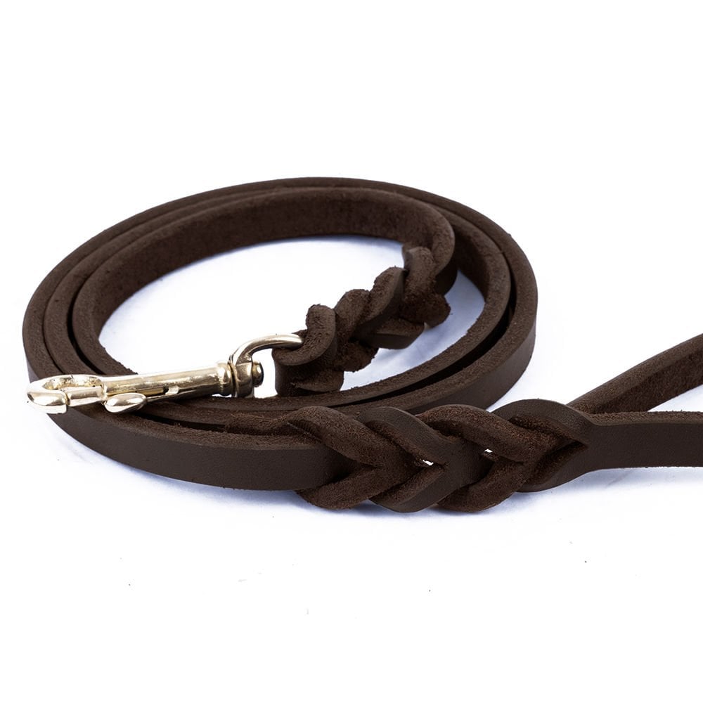 YOEGT14MOILCHESTNUT-picture3Path